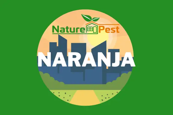 Pest Control Naranja Florida