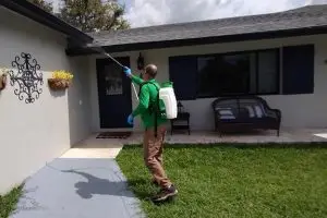 House Sprayed For Bugs