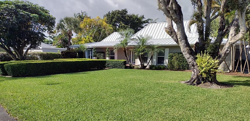Organic Lawn Care Miami | 9 St. Augustine Grass Tips