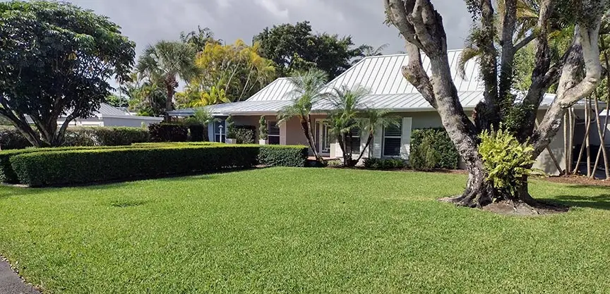 organic lawn care