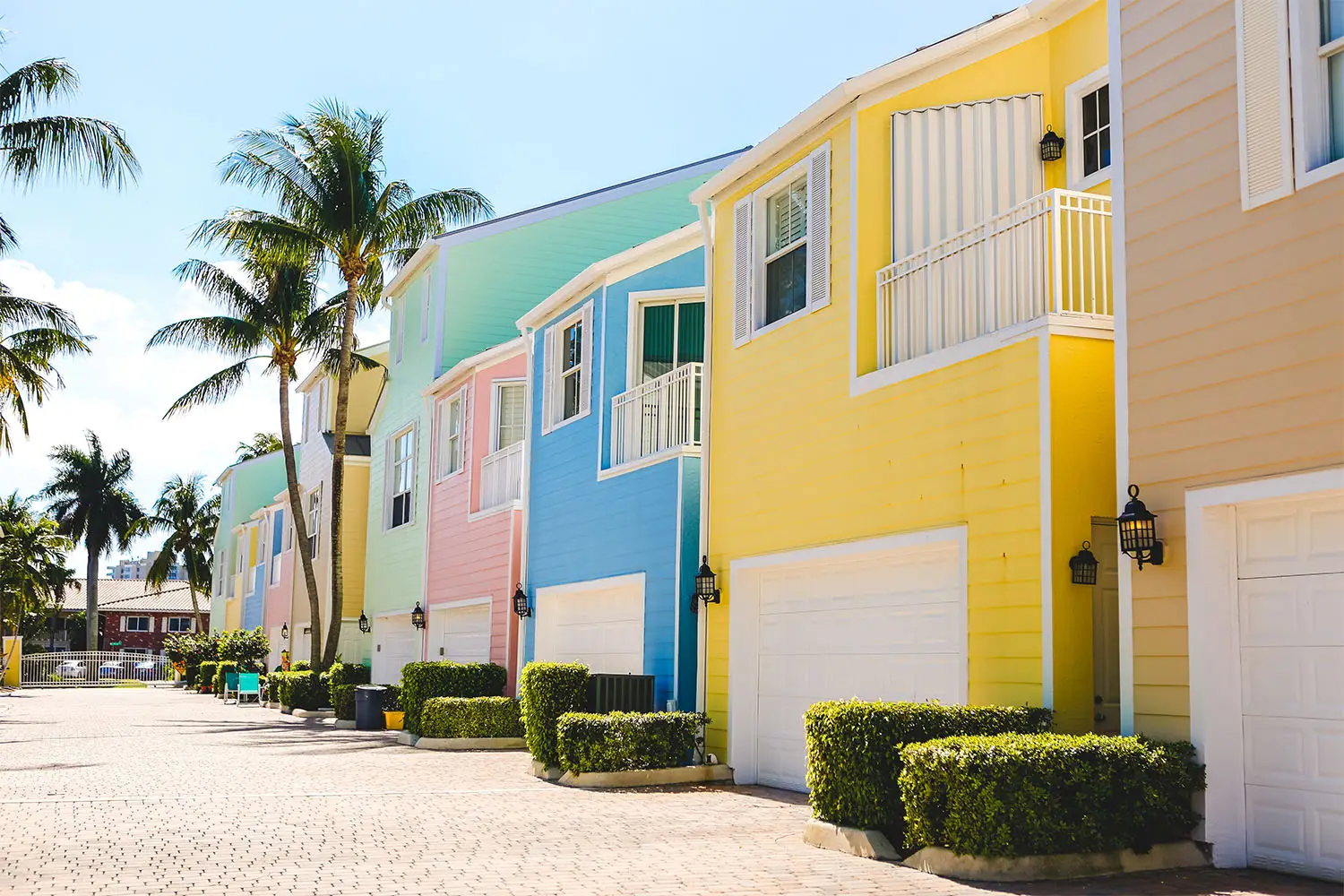 Looking for a Pest Control Near Me In Miramar Florida