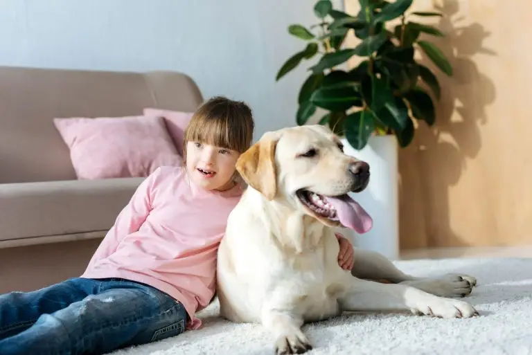 Child with down syndrome hugging Labrador retriever on the floor no pesticide on floor