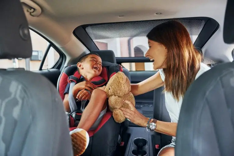 Holistic Car Roach Exterminator Service