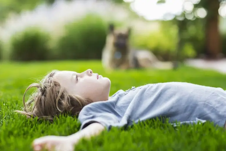 Exclusive Pompano Beach FL Lawn Care Service Features