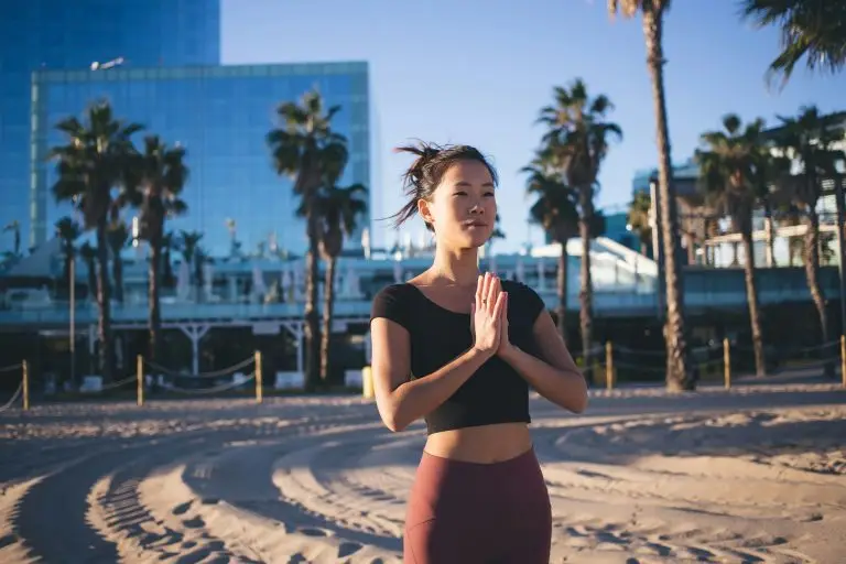 Rodents Love Our Tropical Climate In Hollywood Florida