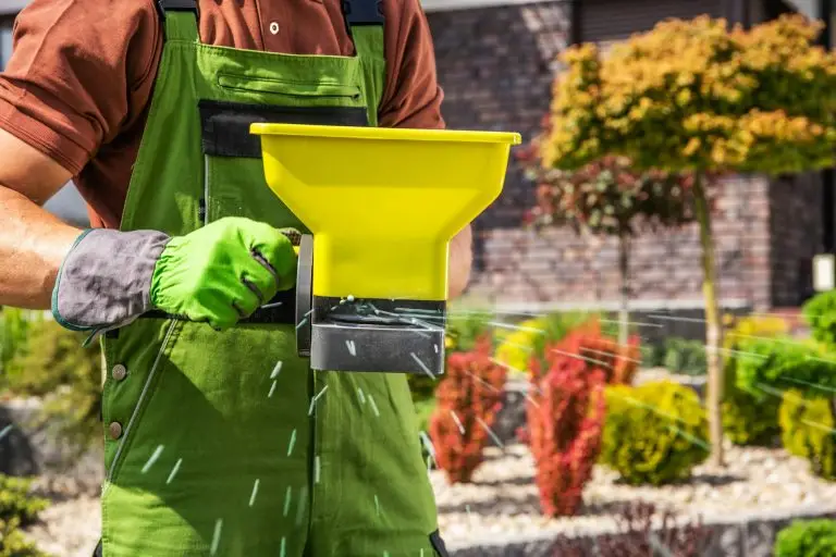 Pest Infestation Prevention in Lawn Care