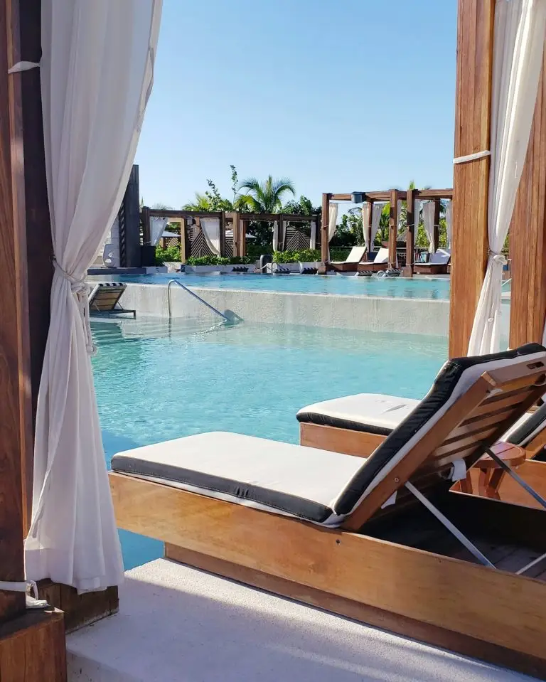 Rodents Love Our Tropical Climate In Hollywood Florida