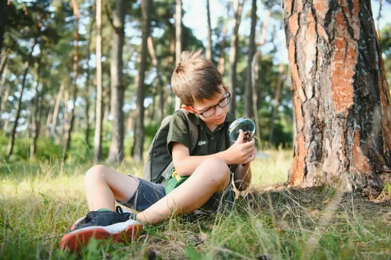 Explore the Organic Method to Combat Ant Infestations with NaturePest!
