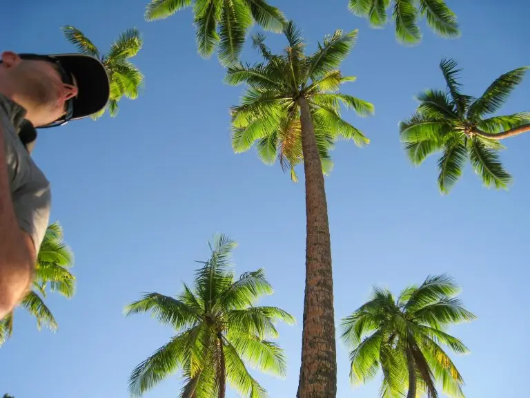 Explore the Gentle Power of Holistic Rodent Control