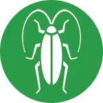 Roach Icon