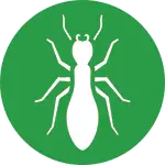 Termites Icon