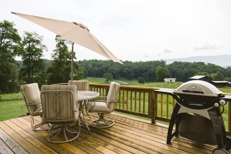 Battling the Onslaught: Ant Infestation