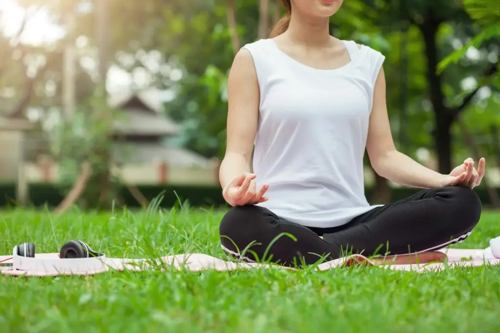 Safeguarding Your Space, Naturally.