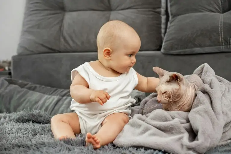 Safest For Both People And Pets