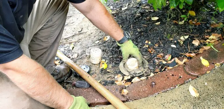 How Do Termite Bait Stations Work?