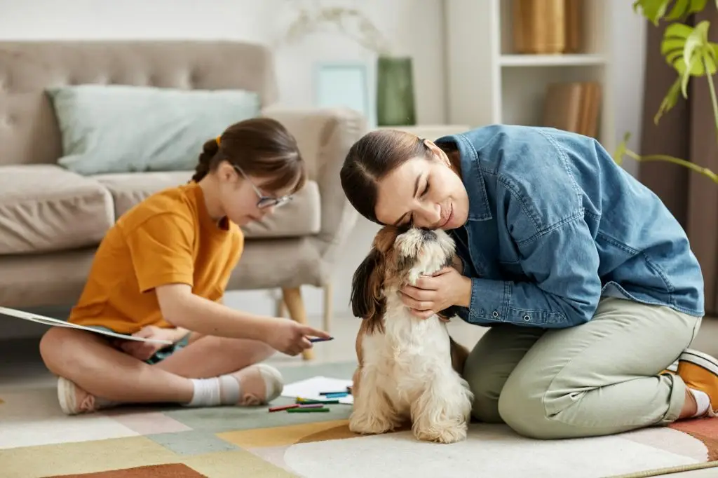 How We Can Help You Get Rid of Ants in Cooper City, FL.