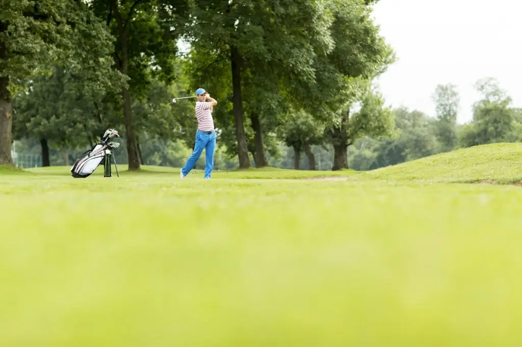 Local Pest Control Near You in Plantation, FL