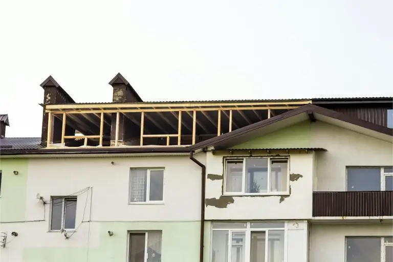 Drywood Termite Control