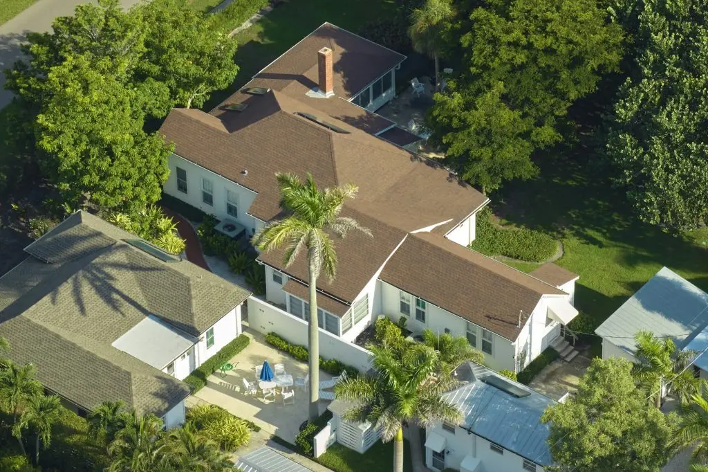 Local Termite Control Service Near You In Sunrise, FL