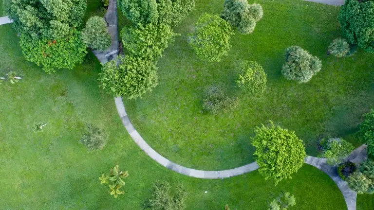 Aerial view of a beautiful green park in Fort Lauderdale, Florida
