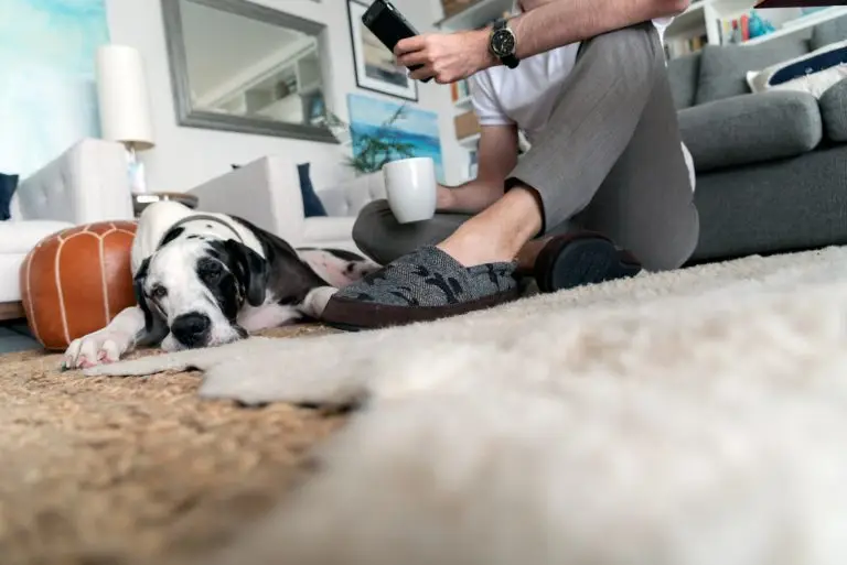 An Innovative Approach To Pest Control That's Not Only Effective But Also Prioritizes Your Well-Being And That Of The Planet.
