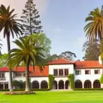 Rodent Control Plantation Florida