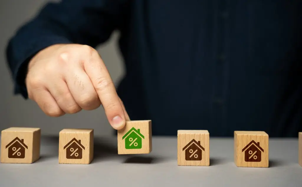 So Why is Holistic No Tent Termite Control Service Right for Our Needs?