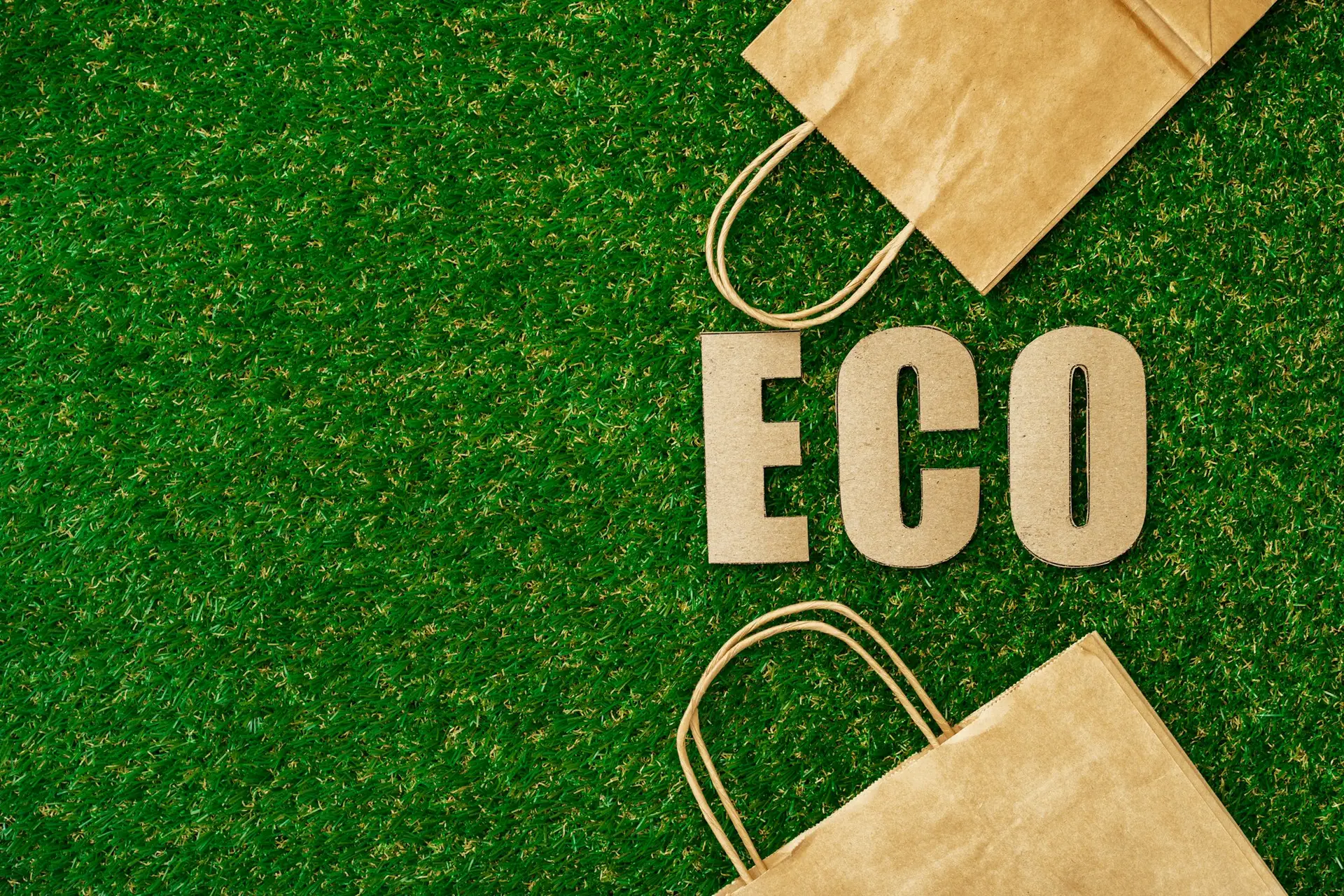 Exclusive Fort Lauderdale FL Termite Control Features