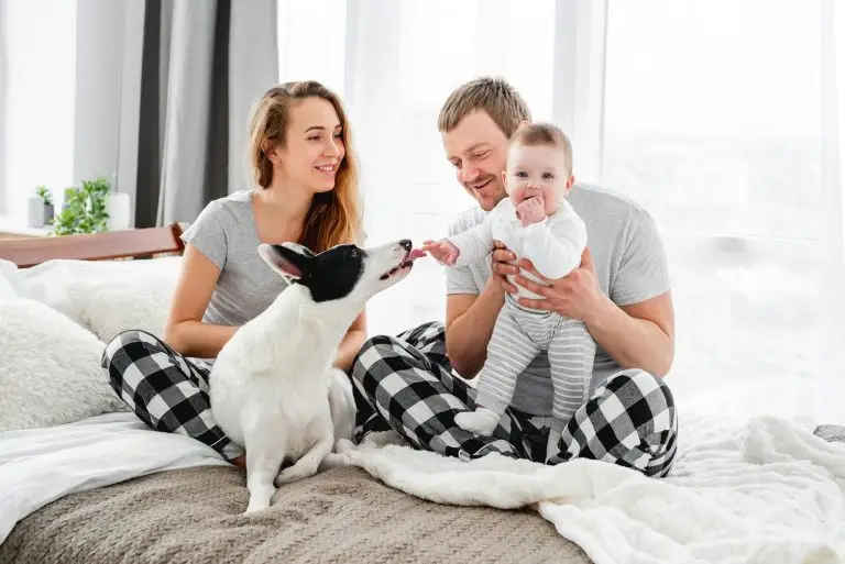 Exclusive Deerfield Beach Florida No Tent Termite Control Service Features