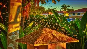 winged termites in fort lauderdale