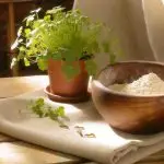 holistic flour weevil control