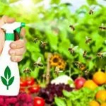 organic pesticides safety concerns