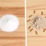 pest control comparison analysis