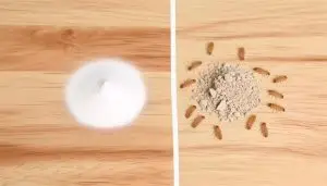 pest control comparison analysis