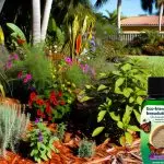 south florida organic pest solutions
