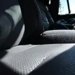 bed bugs in rideshares