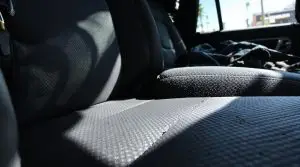 bed bugs in rideshares