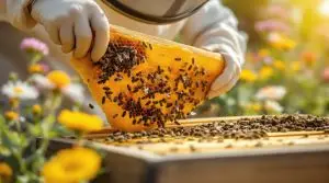 cost effective bee Humane bee removal options