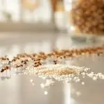 Sugar Ants in House effective sugar ant control