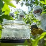 expert mosquito control techniques revealed