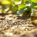 natural ant elimination method
