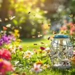 natural mosquito control effectiveness