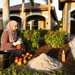 How Get Rid of Ants Organically in South Florida 6 organic ant control south florida