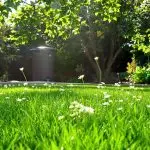university backed eco lawn care
