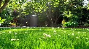 university backed eco lawn care