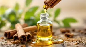 Chemical Composition and Pesticidal Mechanisms of Cinnamon Oil Insecticide