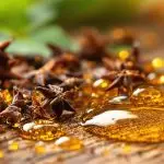 clove oil pesticide activity