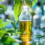 imidacloprid environmental impact analysis