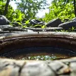 tires and mosquito abundance
