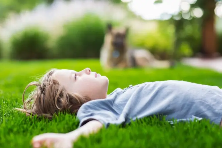 Key Features of Our Southwest Ranches Holistic Lawn Care